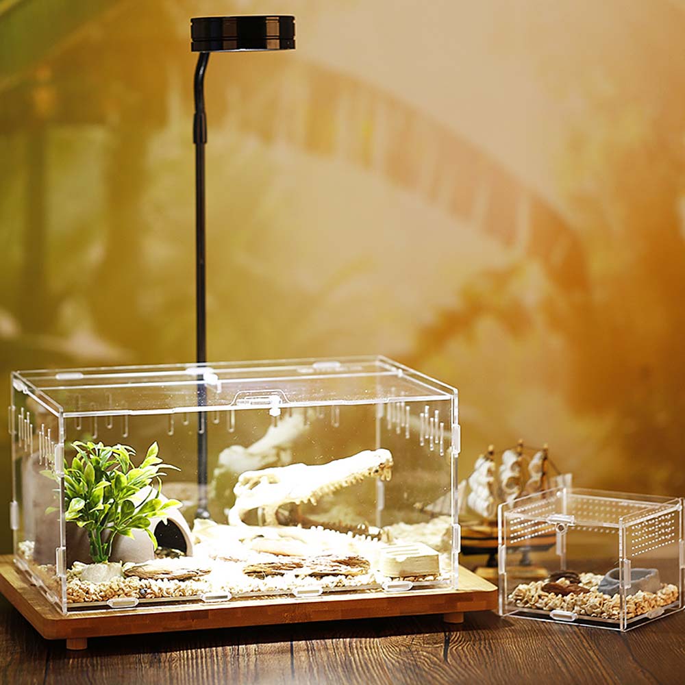 파충류 뱀 곤충 도마뱀 사육 상자 곤충 용품 번식 상자 - Lab Incubator 리뷰 및 가격