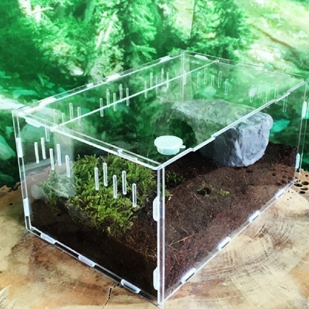파충류 뱀 곤충 도마뱀 사육 상자 곤충 용품 번식 상자 - Lab Incubator 리뷰 및 가격